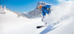 ski web