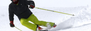 Bâton de ski